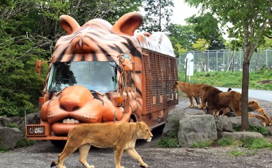 5812 0032 富士サファリパークチケット 静岡県裾野市 ふるさとチョイス ふるさと納税サイト
