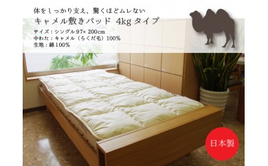 S077 Sキャメル敷パット イワタ
