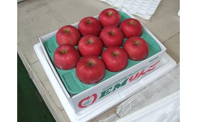 A077 EMりんご 約3kg