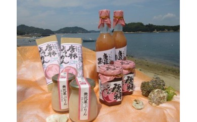 画像はWEBサイトのOGPタグから引用しています イオン銀行 ふるさと納税特設サイト Powered by ふるさとチョイス