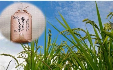 【佐賀県太良町】O-42 松尾さんちのおいしいお米（夢しずく）１０ｋｇ