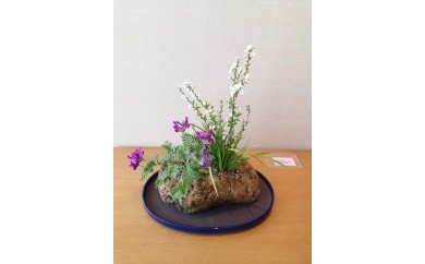 サンプル写真