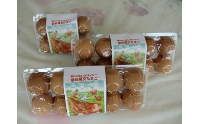 サンプル写真