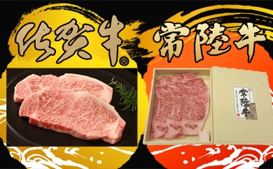 サンプル写真