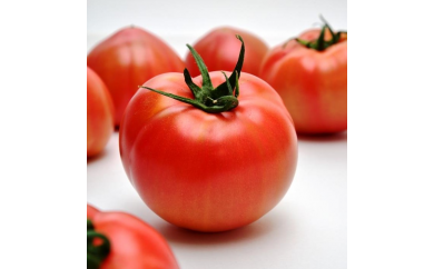 おすすめ トマトのふるさと納税を探す ふるさとチョイス