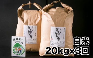 【定期配送】田伝むしのササニシキ白米20kgx3回(栽培期間中農薬・化学肥料不使用)