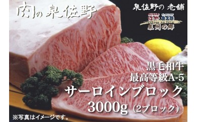F032 黒毛和牛最高等級A-5サーロインブロック3000g(2ブロック)