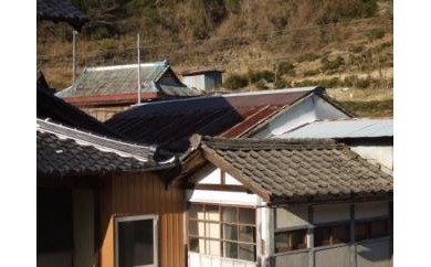 サンプル写真