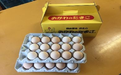 【神奈川県相模原市】【相模原のブランド卵】相模原市田名のおがわのたまご　ピンク卵（Lサイズ）30個