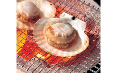B166 三陸産特大ホタテ