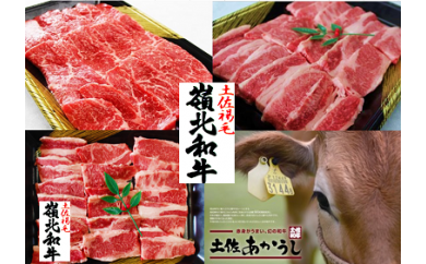 ymyzttn130yēZbgVi۰400g+400g+400gj