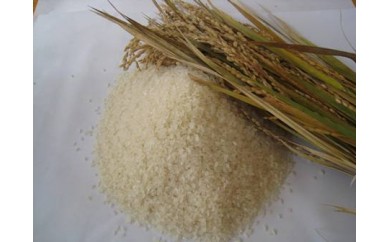 A-79 新庄産 ちりめん米 10kg