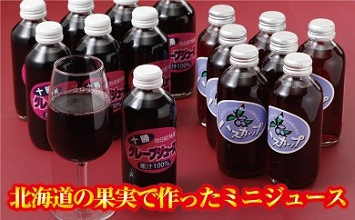画像はグレープジュースとハスカップジュースですが、お届けするのはハスカップジュース10本となります。ご注意ください。