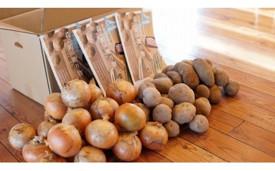 【A010-7】柳瀬産商 越冬野菜セット10kg