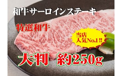 B246 黒毛和牛サーロインステーキ 約250g