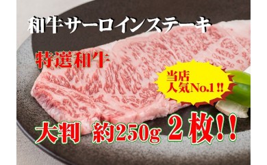 C110 黒毛和牛サーロインステーキ 約250g 2枚
