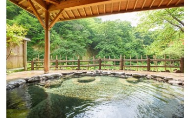 【日帰り】(美人の湯)瀬美温泉 日帰個室&昼食&地酒の利き酒セット