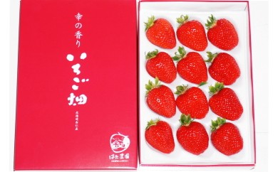 ※商品の写真はイメージです。数量・内容は実際の商品とは異なります。