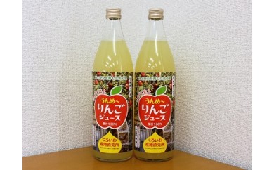 黒岩りんごジュース 900ml×2本