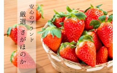 【G-7】白石産いちご「さがほのか」(150g×6パック)