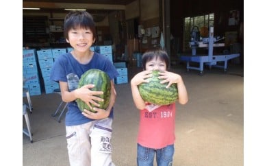 B15-001 【三浦農家直送】中玉スイカ（2個入り） - 神奈川県三浦市｜ふるさとチョイス - ふるさと納税サイト