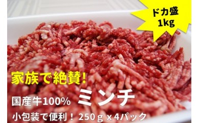 A207 国産牛100%ミンチ 1kg(250gx4パック)