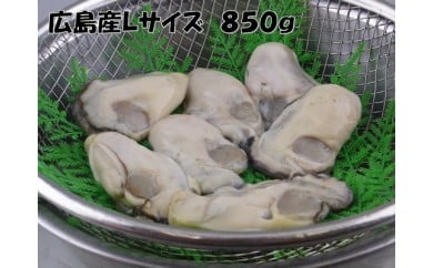 B253 国産最高級牡蠣Lサイズむき身 約850g