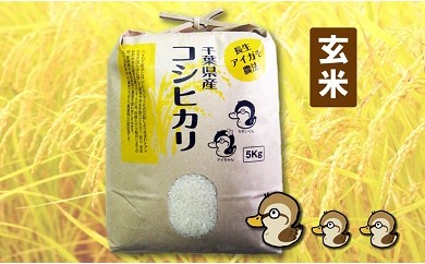 【千葉県長生村】A05-001 アイガモ農法によるお米（玄米30kg）