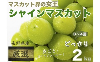 サンプル写真