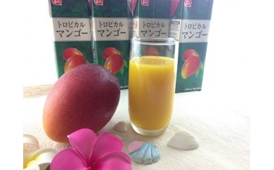 B345 トロピカルマンゴージュース1L×12本