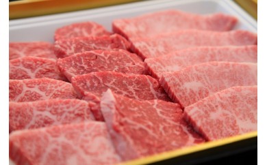 【産地直送!A4等級】宮崎牛バラエティ焼肉用【4000pt】(お礼の品をもらう) 30-0149