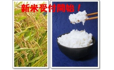 B363 2018年収穫 泉佐野の新米ヒノヒカリ10㎏