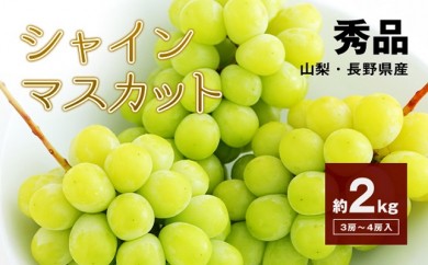 サンプル写真