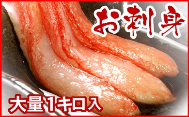 サンプル写真