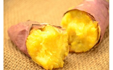 B389 日本農業賞大賞・天皇杯受賞さつまいも約5kg