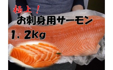 C135 大満足!お刺身サーモン半身