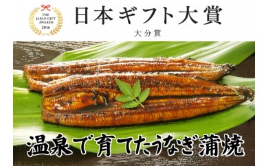 B163 日本ギフト大賞受賞!純国産温泉うなぎ蒲焼2尾