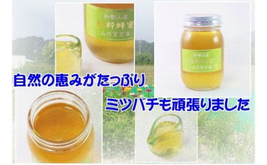 A242 「山の百花蜜」純粋はちみつ600g