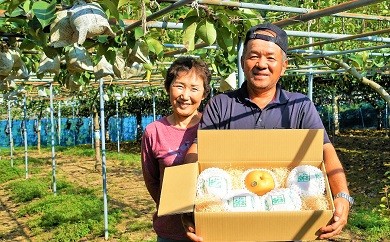 Cyn-01 【旬の限定品】大きさとおいしさの感動をお届け!山﨑梨園の新高梨4㎏