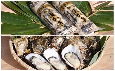 奥松島産極上カキたっぷり詰合せセット 旨カキ500g×3本+殻付きカキ40個