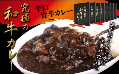 B259 焼肉屋の賄いから生まれた究極の和牛カレー
