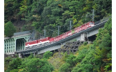 P01 Sl列車と南アルプスあぷとラインの旅 3日間2名様 静岡県川根本町 ふるさと納税 ふるさとチョイス