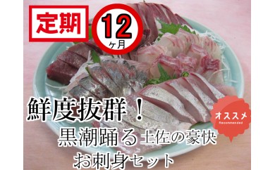 高知県奈半利町 Fi018 お刺身コース 毎月発送 年１２回発送 寄付額100 000円 ふるさと納税サイト ふるさとチョイス