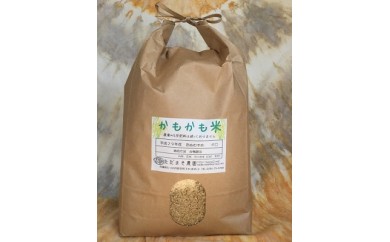 【兵庫県たつの市】H-37 合鴨農法かもかも米（玄米4.5キロ）