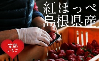 ysz gق 4pbNZbgmY@nny s\ t n  C`S Y Â lC Yi  t[c fU[g z