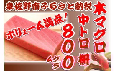 C161 本マグロ中トロ柵 約800g
