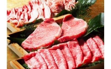 E067 高級詰め合わせ プレミアムセット 肉三昧
