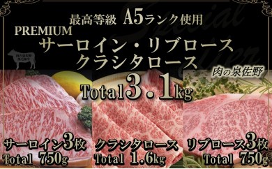 E066 A5ランク PREMIUMサーロイン・リブロース・クラシタロース3.1㎏
