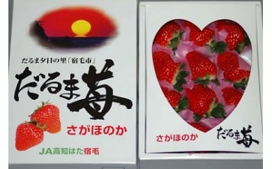 ymhюsz䕁iق̂jϔ@ 嗱 t[c ʕ  Mtg XC[c  ① JA _ m ܗ[  Ƃ̂