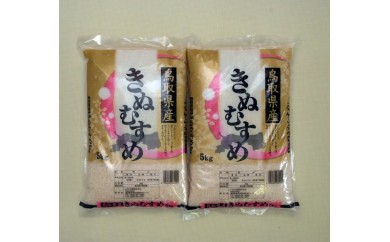 13位:鳥取県米子市「鳥取県産きぬむすめ10㎏」